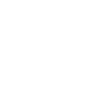 BLDC Motor